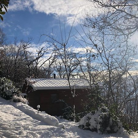 "La Romantica" Rifugio Nel Bosco Astano Экстерьер фото
