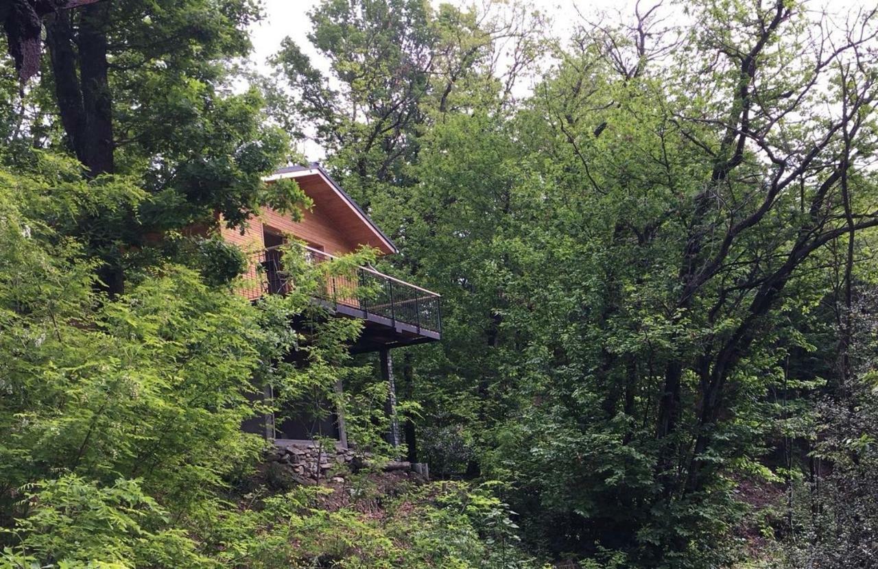 "La Romantica" Rifugio Nel Bosco Astano Экстерьер фото